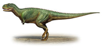 Skorpiovenator Bustingorryi Dinosaur Poster Print - Late Cretaceous