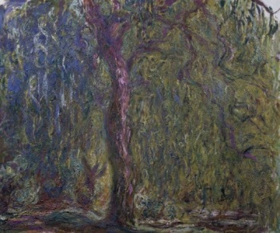 Weeping Willow Fine Art Print by Claude Monet - c. 1919