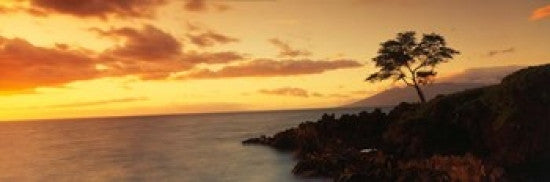 Wailea Point, Maui, Hawaii Photo Print by Panoramic Images - 37x12