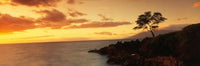 Wailea Point, Maui, Hawaii Photo Print by Panoramic Images - 37x12