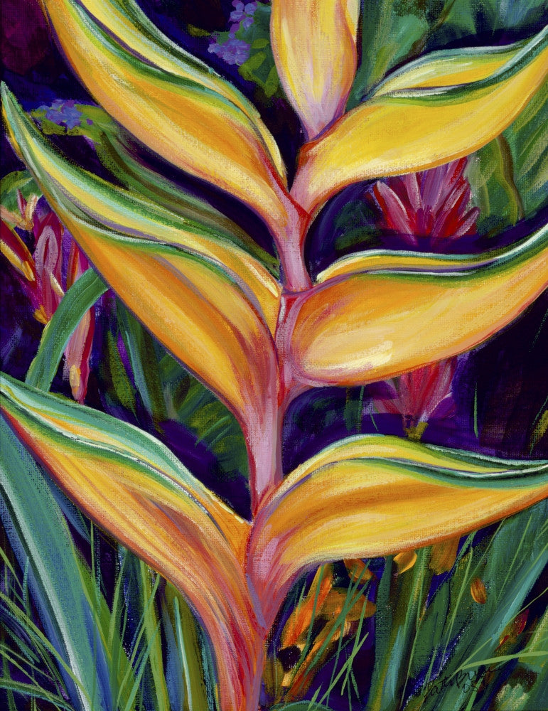 Orange Heliconia Close-Up Fine Art Print by Patti Bruce
