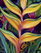 Orange Heliconia Close-Up Fine Art Print by Patti Bruce