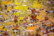 Autumn Foliage Reflection in Leaf-Covered Lake Fine Art Print by F. M. Kearney