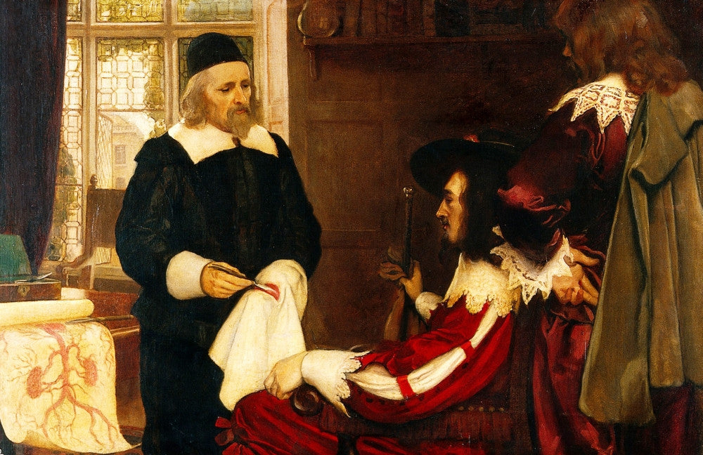William Harvey Demonstrating Circulation Fine Art Print by Science Source