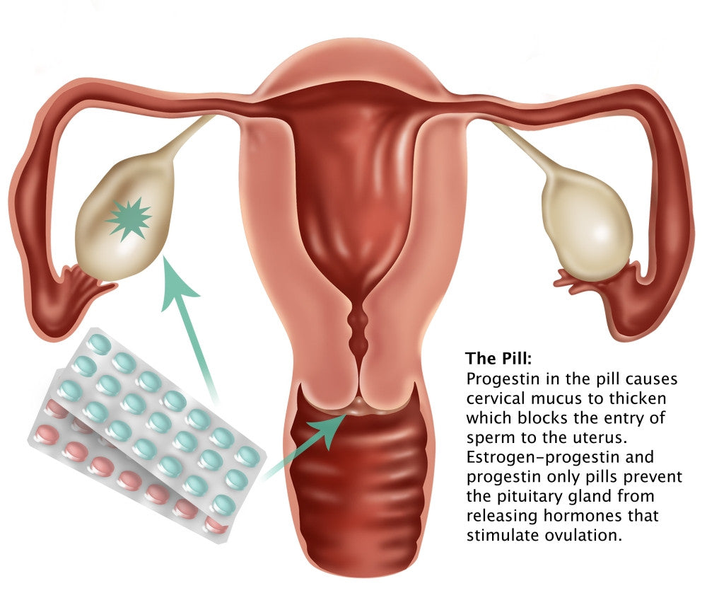 Birth Control Pill Fine Art Print by Gwen Shockey | Science Source