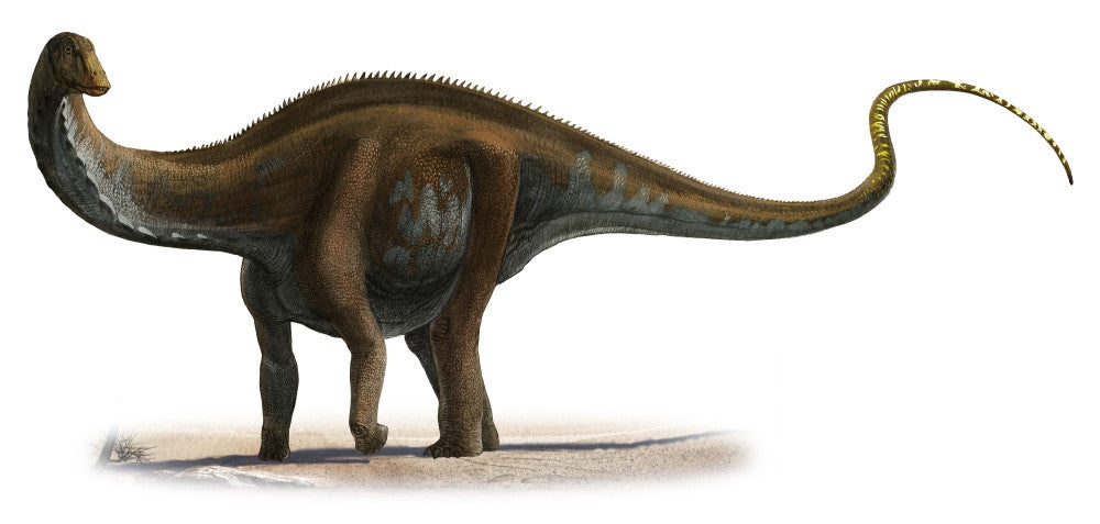 Apatosaurus Excelsus Fine Art Print - Prehistoric Dinosaur Poster