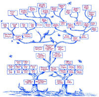 Guggenheim Family Tree Fine Art Print by Science Source