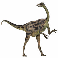 Gallimimus Dinosaur Fine Art Print - Cretaceous Period