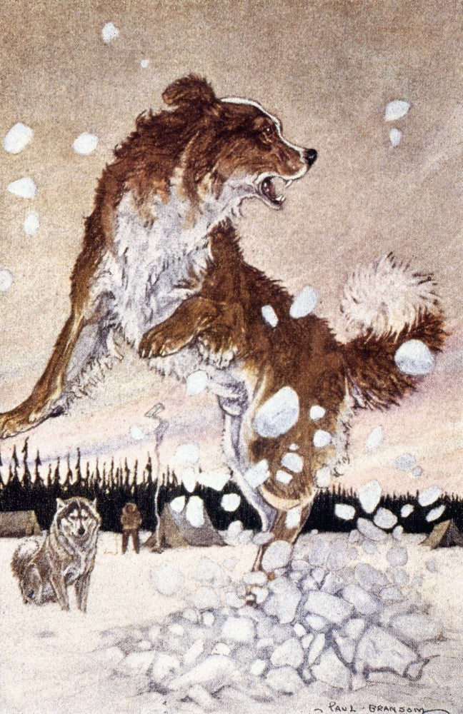 'Call Of The Wild' Fine Art Print by Paul Bransom | Granger Collection