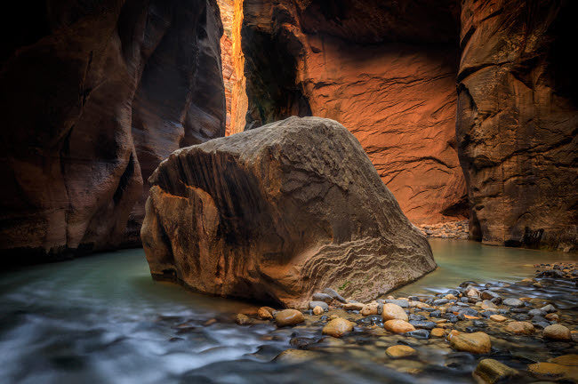 Zion National Park Virgin River Fine Art Print by Jaynes Gallery