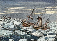 John Franklin's Ill-Fated Arctic Expedition Engraving Poster Print
