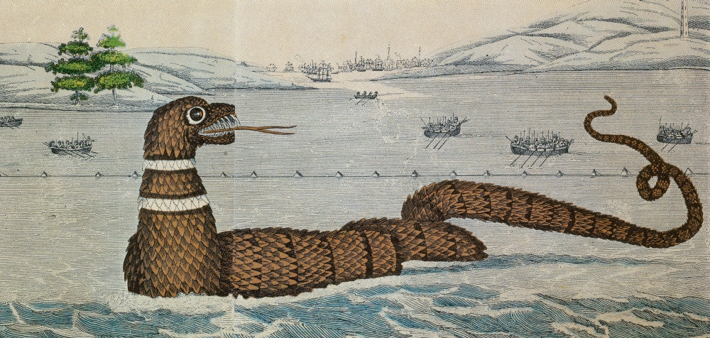 Legendary Gloucester Sea Serpent Fine Art Print by Science Source