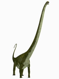 Mamenchisaurus Dinosaur Fine Art Print - Jurassic Era Decor