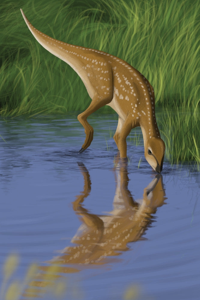Hypsilophodon Drinking Water from a Prehistoric Lake Poster Print