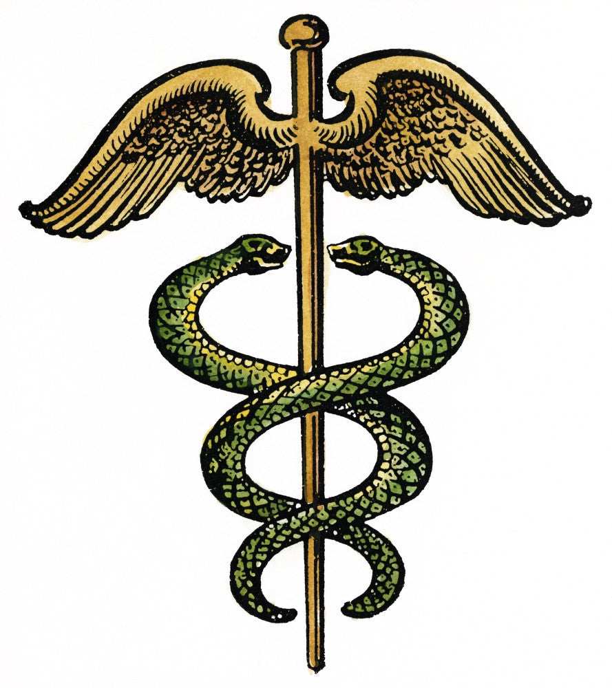 The Caduceus Fine Art Print - Symbol of Medicine | Posterazzi