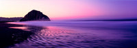 View of Beach at Sunrise with Morro Rock, Morro Bay Fine Art Print