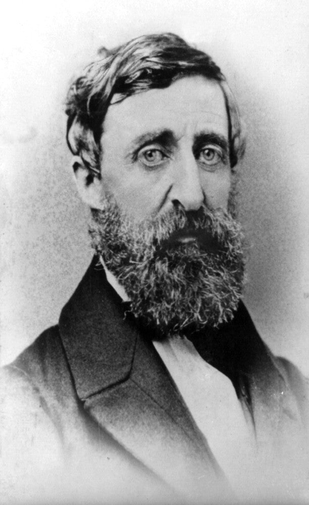 Henry David Thoreau Fine Art Print by Science Source