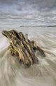 Driftwood at Chesterman Beach Fine Art Print - Tofino, BC
