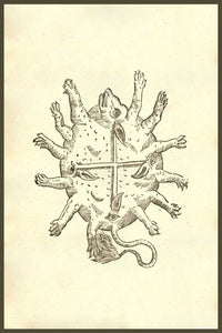 Renaissance Woodcut Monsters Fine Art Print by Ulisse Aldrovandi