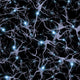 Seamlessly Repeatable Brain Cells Pattern Fine Art Print by Bruce Rolff
