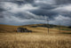 Old Rustic Wooden House in Golden Field Art Print by Marg Wood