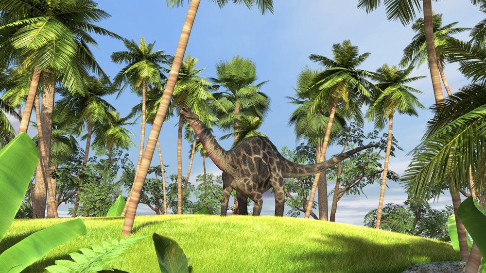Dicraeosaurus in a Prehistoric Forest Fine Art Print
