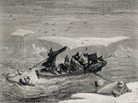 Hunting Walrus Engraving from 19th Century Spitsbergen Islands Fine Art Print