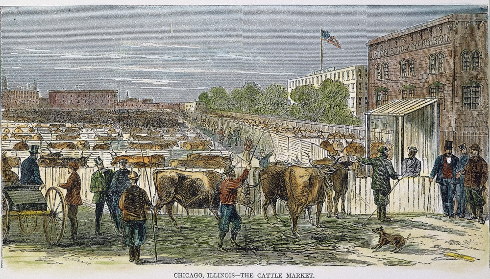 Chicago: Stockyards, 1868 Color Engraving Fine Art Print by Granger Collection