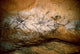Deer Heads from Lascaux Cave Fine Art Print by Granger Collection