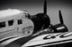 German Junkers Ju-52 Aircraft Fine Art Print by Timm Ziegenthaler