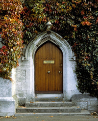 Gothic Doorway at University College Cork Fine Art Print by The Irish Image Collection
