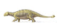 Ankylosaurus Dinosaur 3D Rendering Fine Art Print | Posterazzi