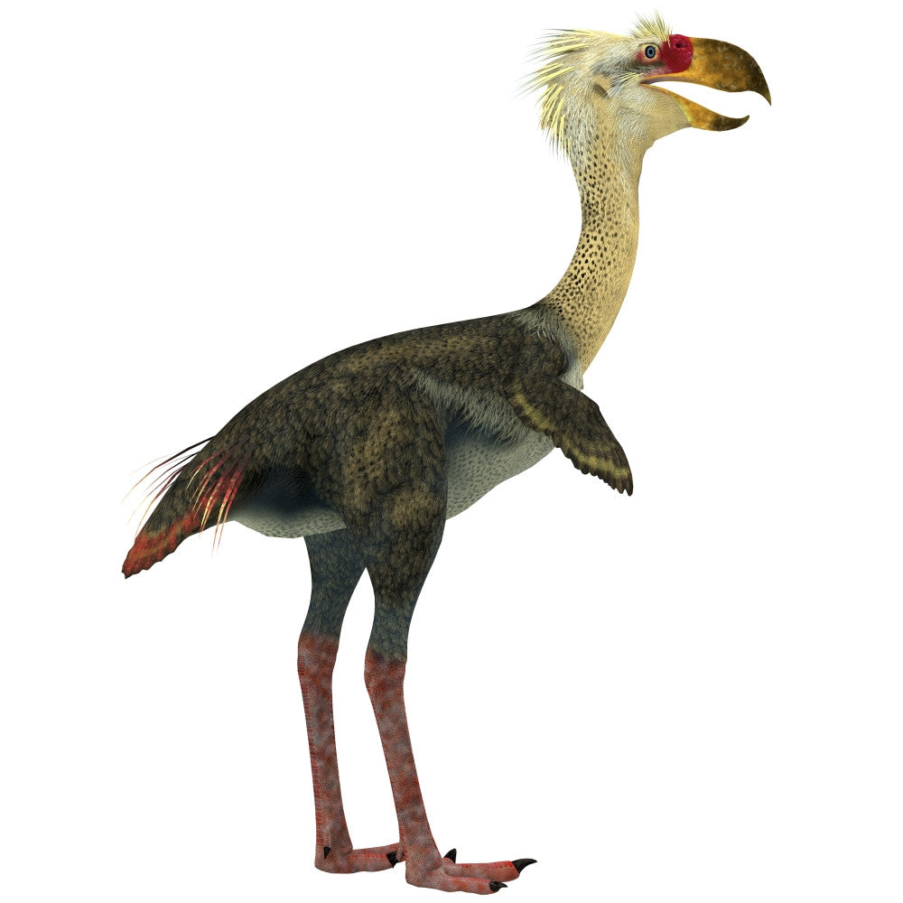 Phorusrhacos Fine Art Print - The Terror Bird from the Miocene Epoch