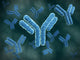 Microscopic View of Immunoglobulin G Antibodies Fine Art Print