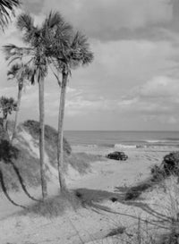 Ponte Vedra Beach Fine Art Print - USA, Florida