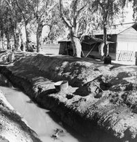Migrant Housing Fine Art Print by Dorothea Lange | Posterazzi