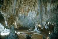 Carlsbad Caverns Fine Art Print - Scenic Landscape Poster