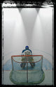 Hockey Goalie in Crease Photo Print by Don Hammond