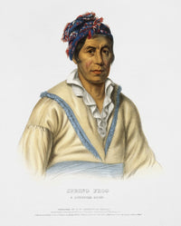 Spring Frog Fine Art Print - Cherokee Chief by Charles Bird King