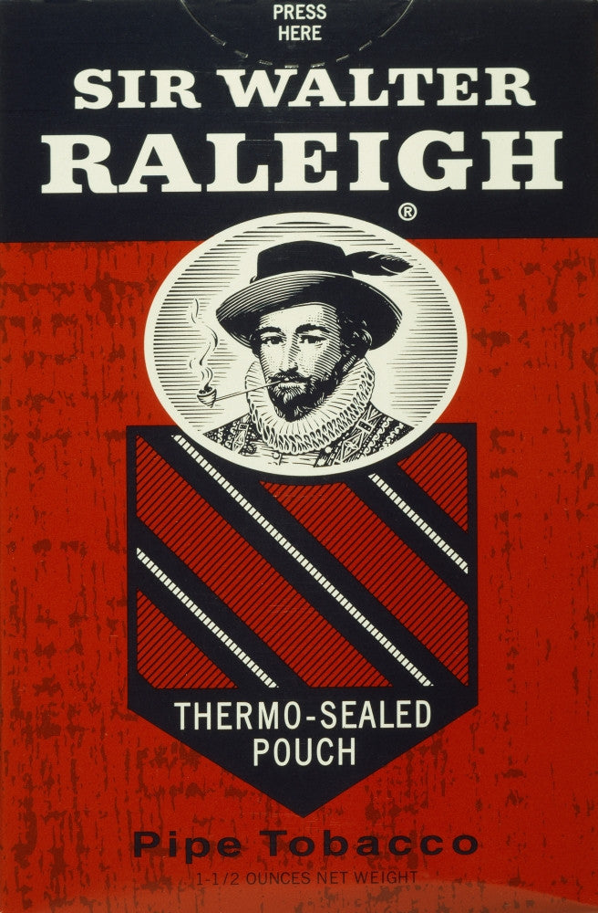 Sir Walter Raleigh Fine Art Print - English Adventurer | Posterazzi