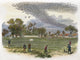 Pigeon Hunting Fine Art Print - Line Engraving C1875 by Granger Collection