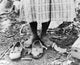 Cotton Picker Fine Art Print by Dorothea Lange - 1937