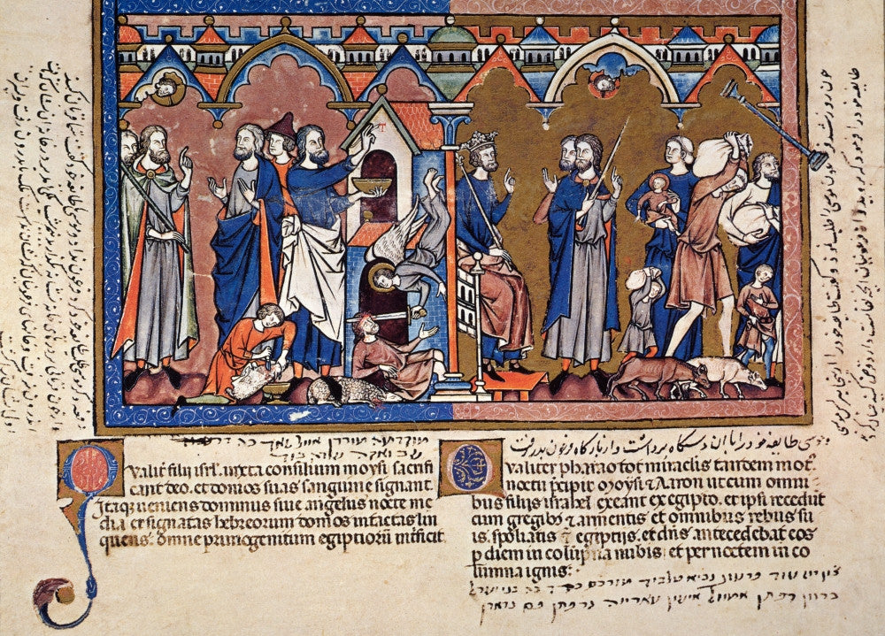 Passover: French Manuscript Illumination (C1250) Poster Print by Granger Collection