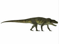 Postosuchus Triassic Period Aquatic Reptile Fine Art Print