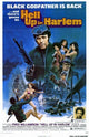 Hell Up in Harlem Movie Poster (11x17) | Posterazzi