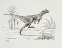 Heterodontosaurus Fine Art Print by Mary Evans