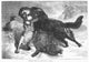 Fight Between a Wolf and a Dog Over a Sheep - 19th Century Wood Engraving Poster Print by Granger Collection