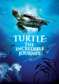 Turtle The Incredible Journey Movie Poster - 11x17 Print