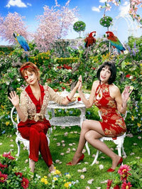 Pushing Daisies Movie Poster 11x17 | Posterazzi