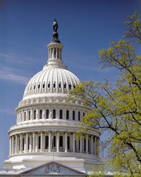 U.S. Capitol Dome Fine Art Print - Washington D.C. | Posterazzi